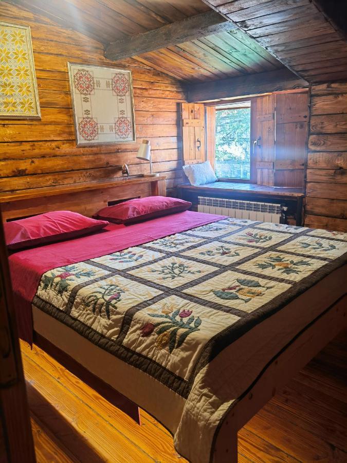 Вила Тодора Villa Todora Βράτσα Εξωτερικό φωτογραφία